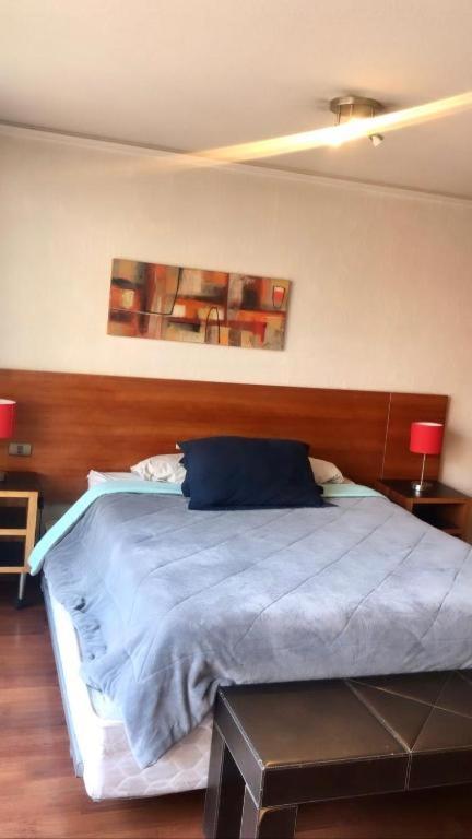 Apartamento Providencia Studio Con Terraza Santiago