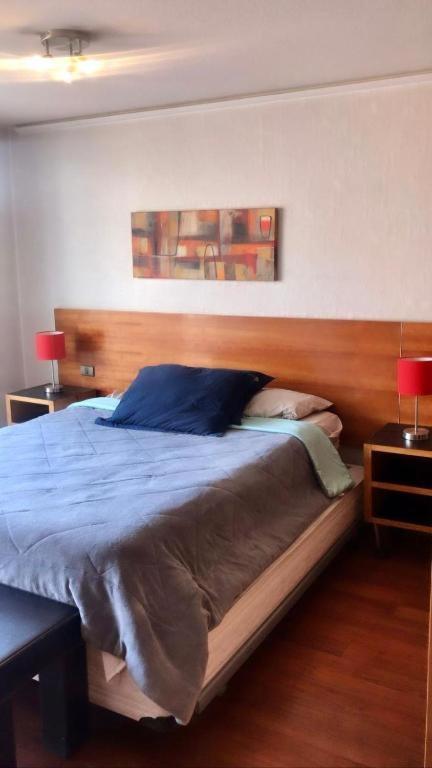 Apartamento Providencia Studio Con Terraza Santiago
